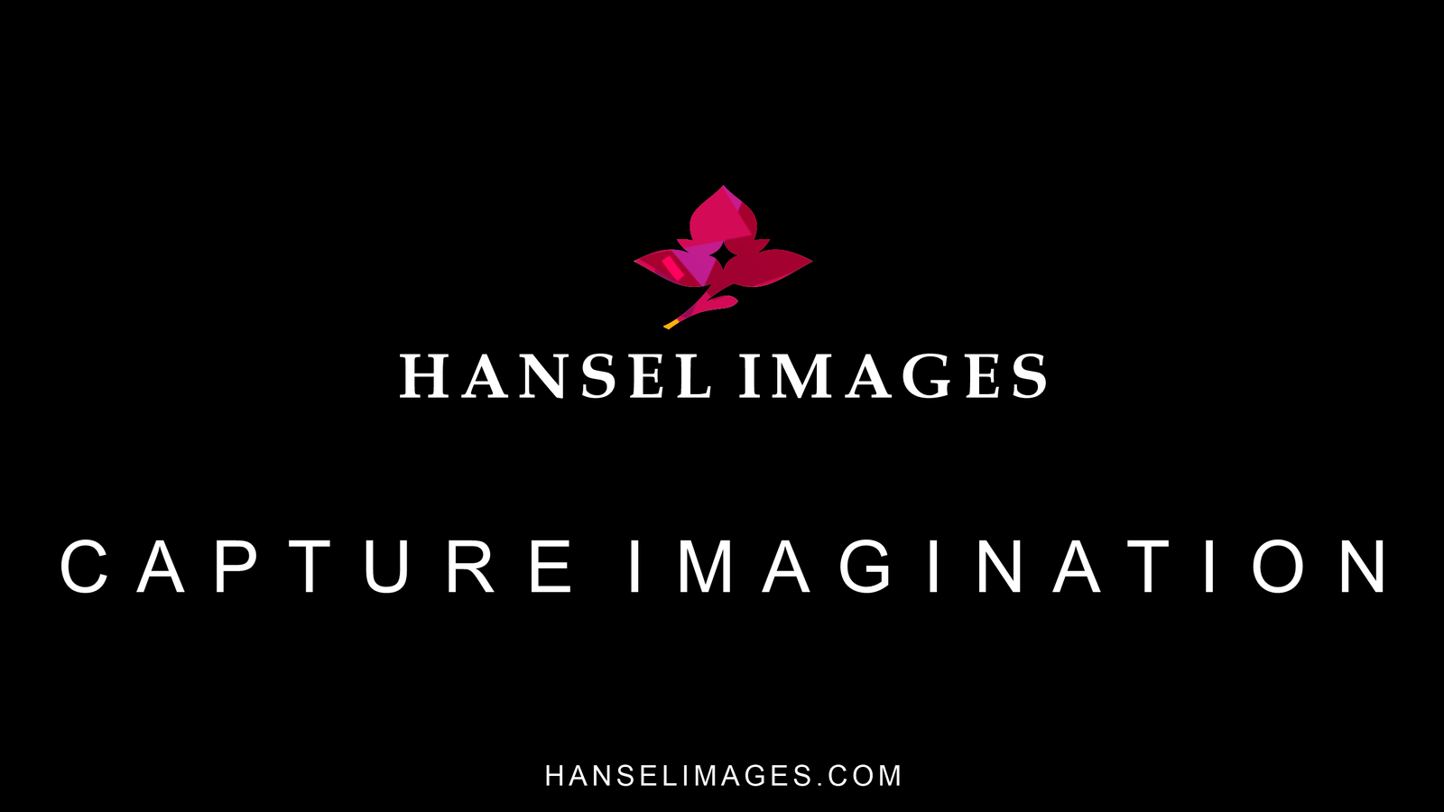 Hansel Images – Jasa Fotografi Sumbawa Hansel Images - Jasa Fotografi Sumbawa
